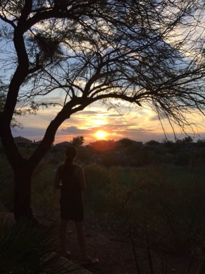Desert Sunset Watcher